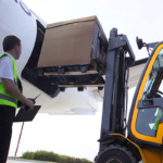 Tarima de Plastico para Exportación EXP1010 - Imagen 2