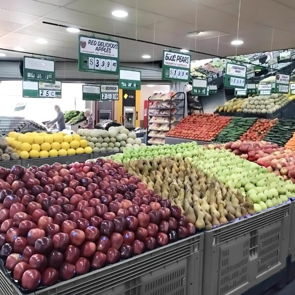 Contenedores de Plástico